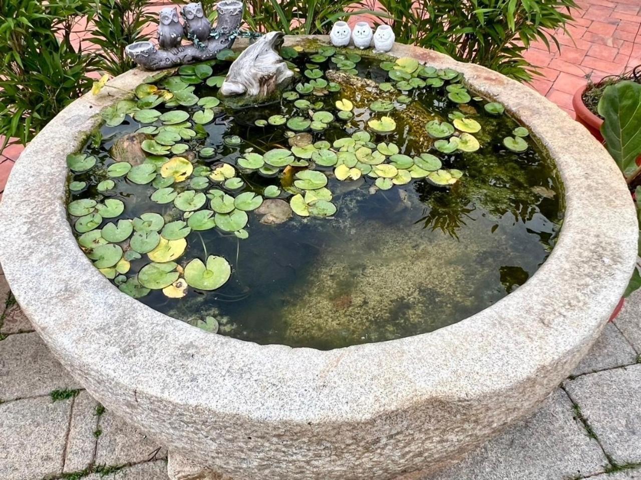 Shenten Homestay Jincheng Esterno foto